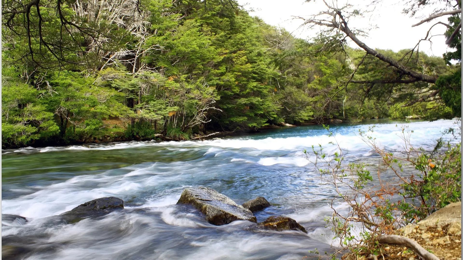 Rafting Río Manso a la Frontera (III/IV)